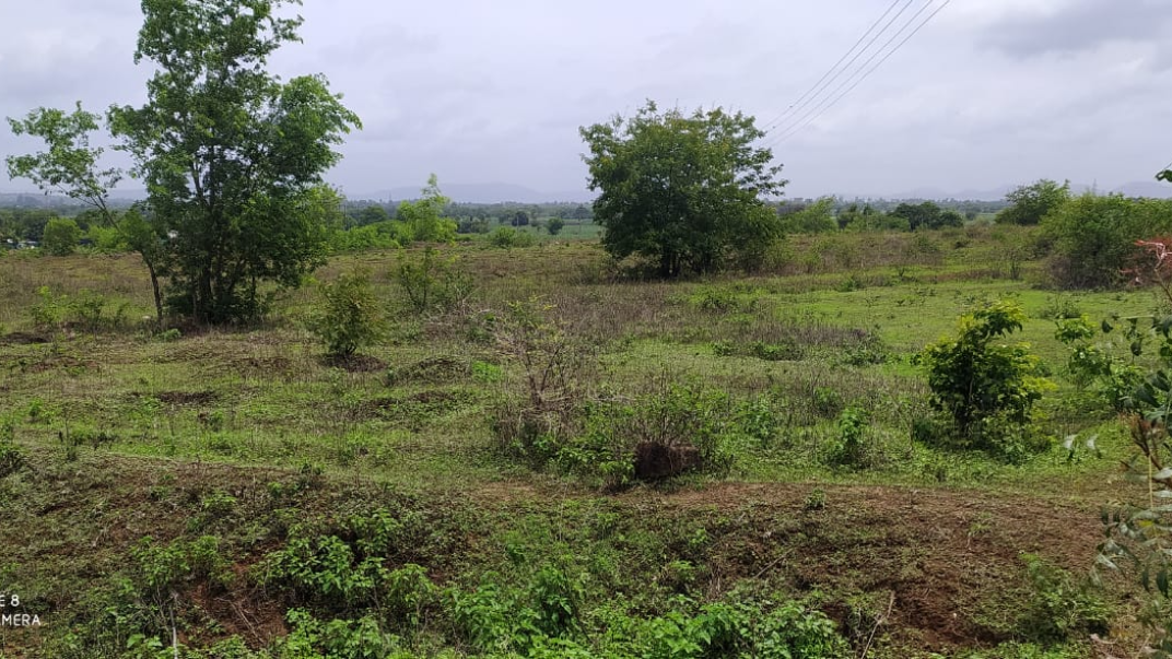 Sahyadri Devrai | SAHYADRI DEVRAI DANOLI,KOLHAPUR