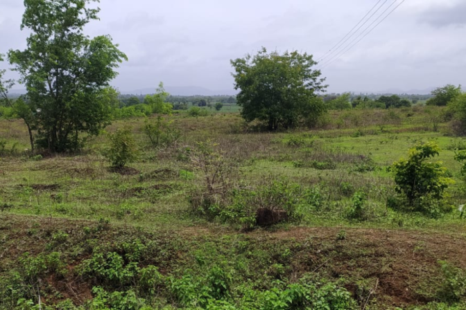 Sahyadri Devrai Danoli, Kolhapur