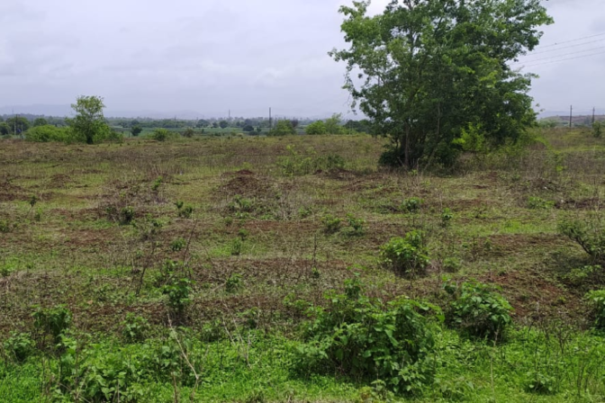 Sahyadri Devrai — Shirdhon, Satara