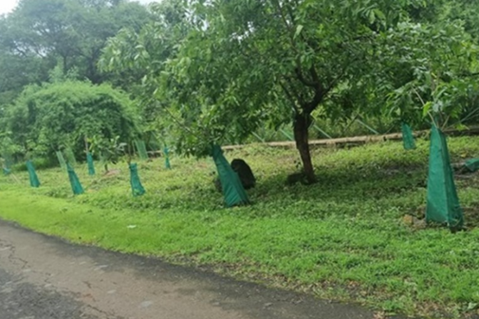 Sahyadri Devrai Sanjay Gandhi National Park, Mumbai