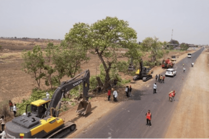 Jintur – Jalna Replantation of trees