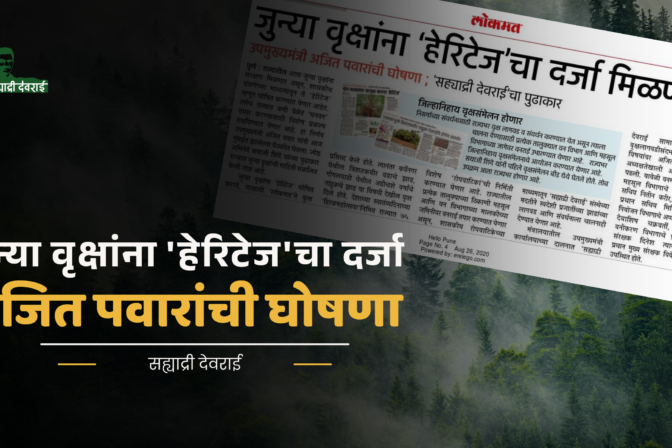 जुन्या वृक्षांना ‘हेरिटेज’चा दर्जा मिळणार