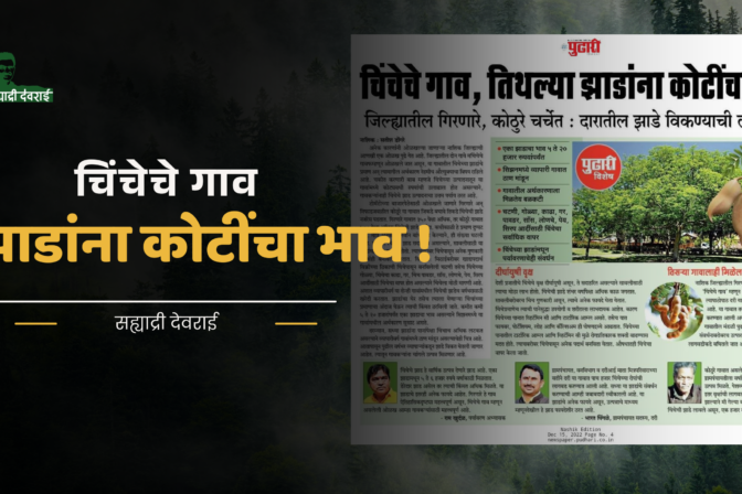 चिंचेचे गाव, तिथल्या झाडांना कोटींचा भाव !