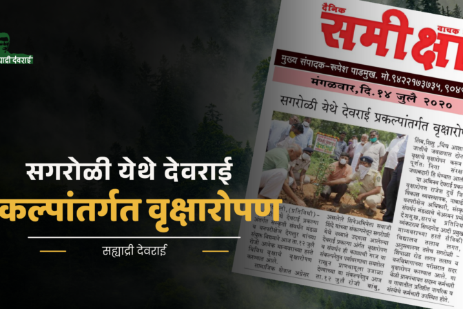 सगरोळी येथे देवराई प्रकल्पांतर्गत वृक्षारोपण