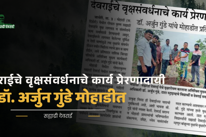 देवराईचे वृक्षसंवर्धनाचे कार्य प्रेरणादायी