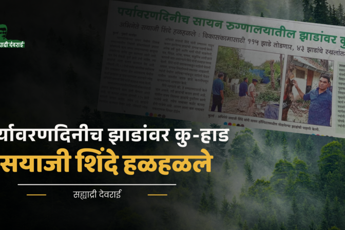 पर्यावरणदिनीच सायन रुग्णालयातील झाडांवर कु-हाड-