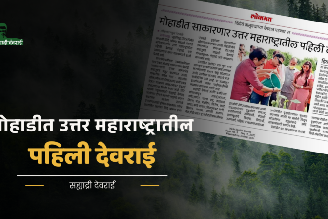 मोहाडीत साकारणार उत्तर महाराष्ट्रातील पहिली देवराई !