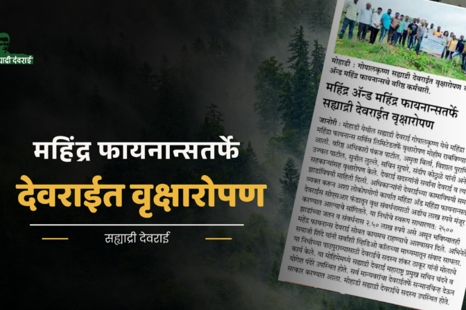 महिंद्र अँड महिंद्र फायनान्सतर्फे सह्याद्री देवराईत वृक्षारोपण