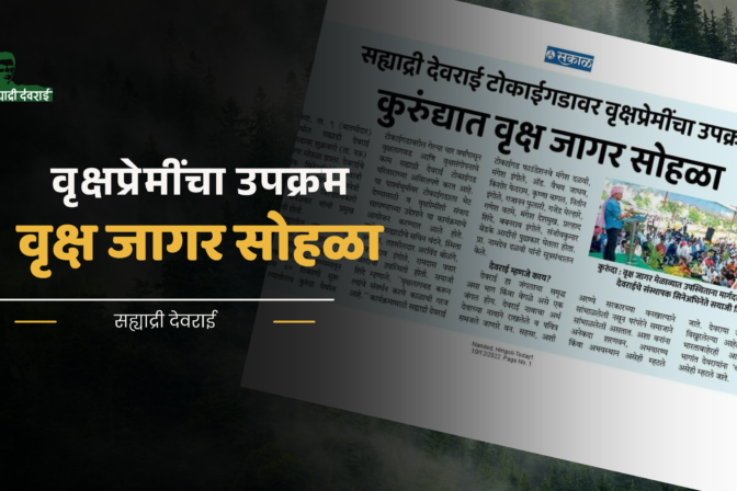 सह्याद्री देवराई टोकाईगडावर वृक्षप्रेमींचा उपक्रम