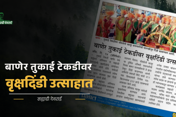 बाणेर तुकाई टेकडीवर वृक्षदिंडी उत्साहात