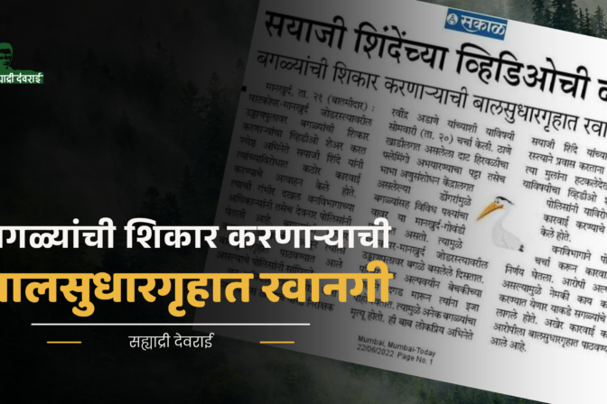 सयाजी शिंदेंच्या व्हिडिओची दखल