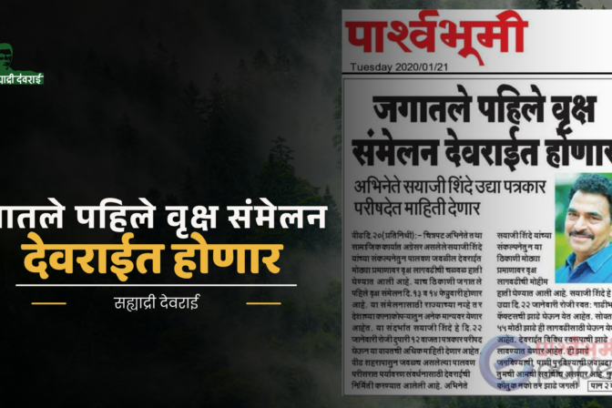 जगातले पहिले वृक्ष संमेलन देवराईत होणार