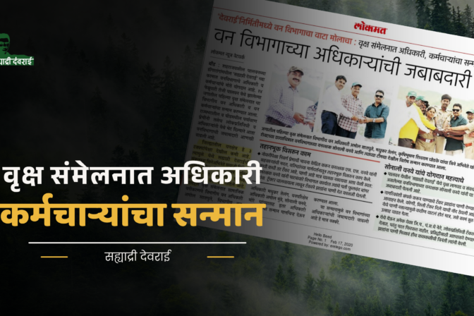 वन विभागाच्या अधिकाऱ्यांची जबाबदारी वाढली