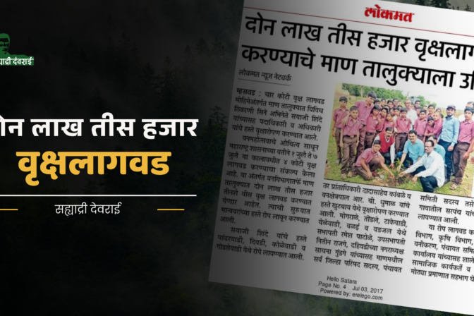 दोन लाख तीस हजार वृक्षलागवड करण्याचे माण तालुक्याला उद्दिष्ट