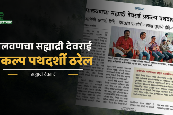 पालवणचा सह्याद्री देवराई प्रकल्प पथदर्शी ठरेल